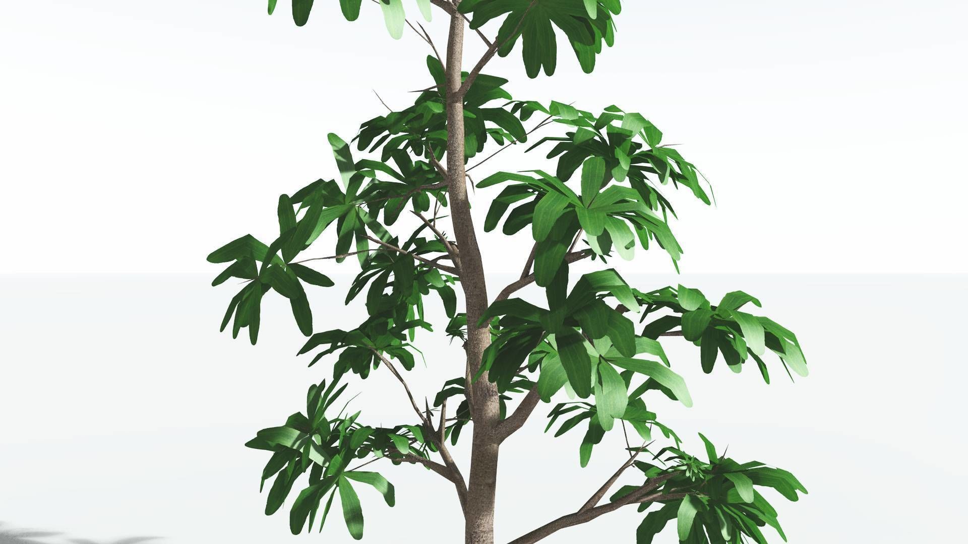 EVERYPlant Glossopteris 2 --20 Models-- 3D model_30