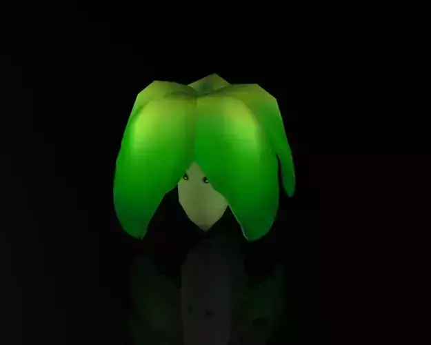 Creative Lettuce Plant Low-poly 3D model