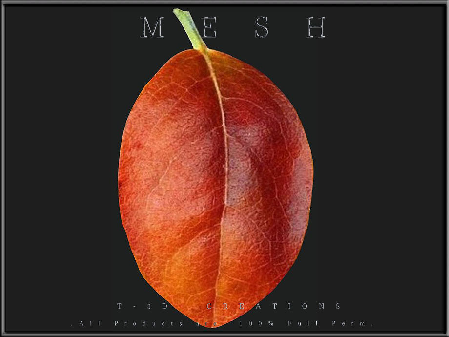 Autumn orange leaf Low-poly 3D model_1