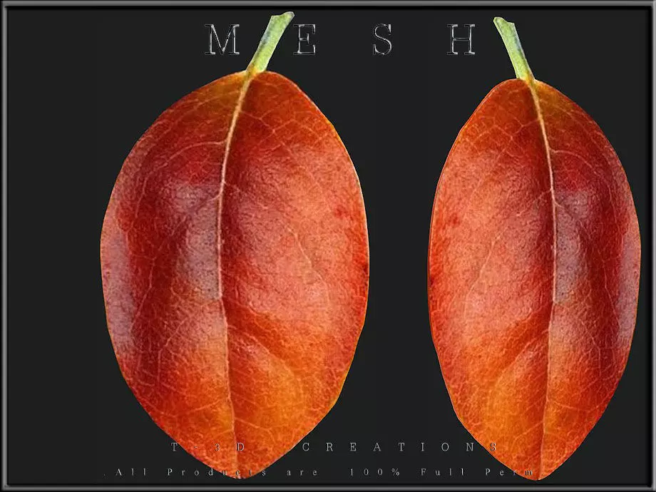 Autumn orange leaf Low-poly 3D model_0