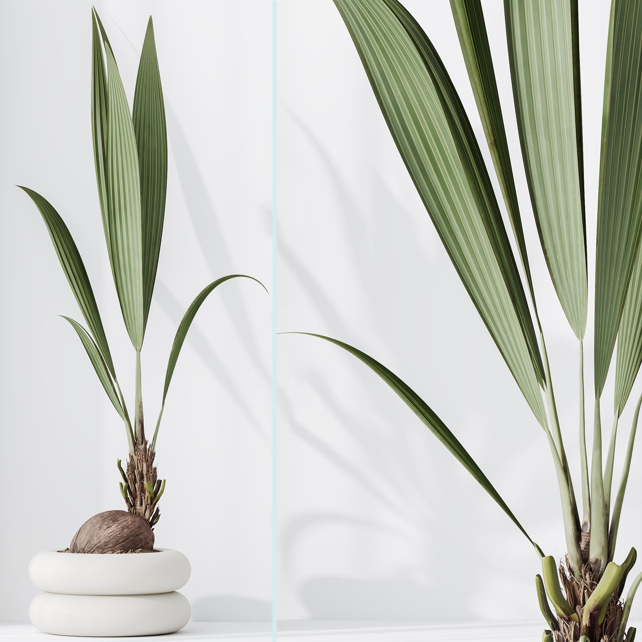 Indoor plant set 01 3D model_3