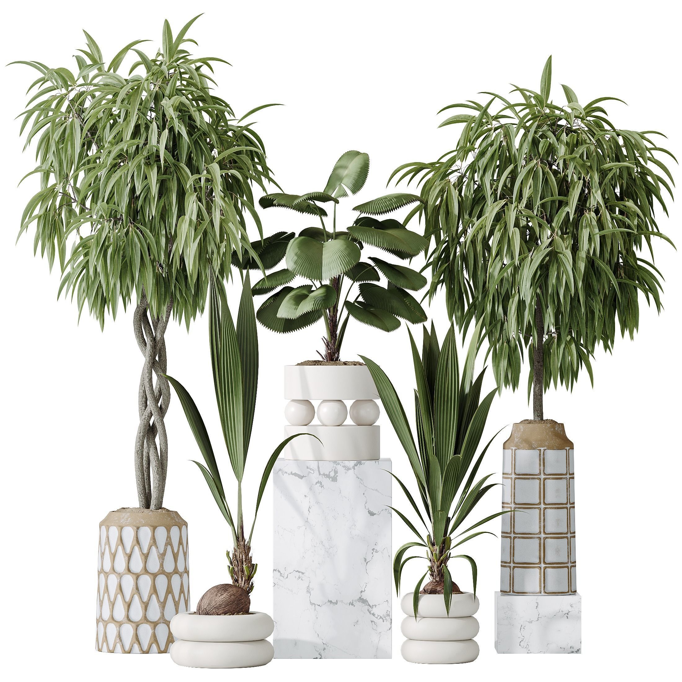 Indoor plant set 01 3D model_1