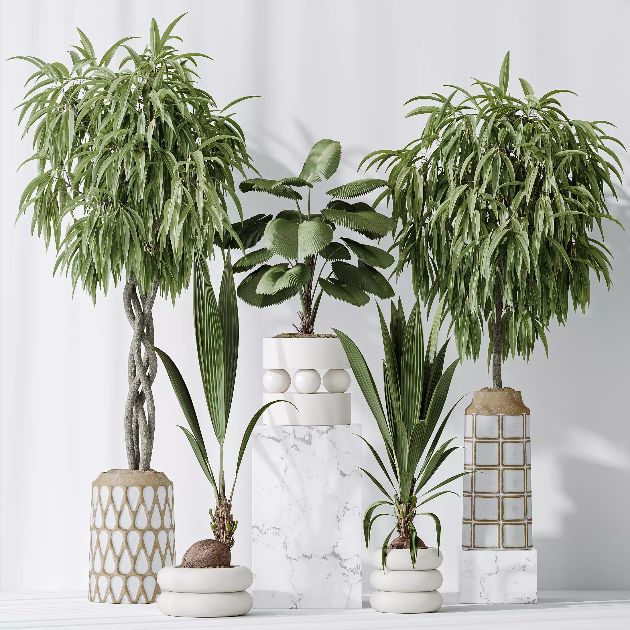 Indoor plant set 01 3D model_0