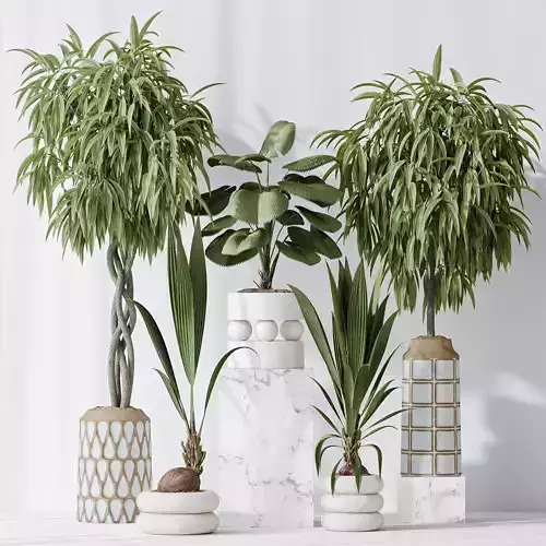 Indoor plant set 01 3D model