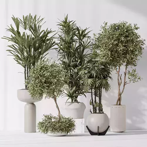 Indoor plant set 02 3D model