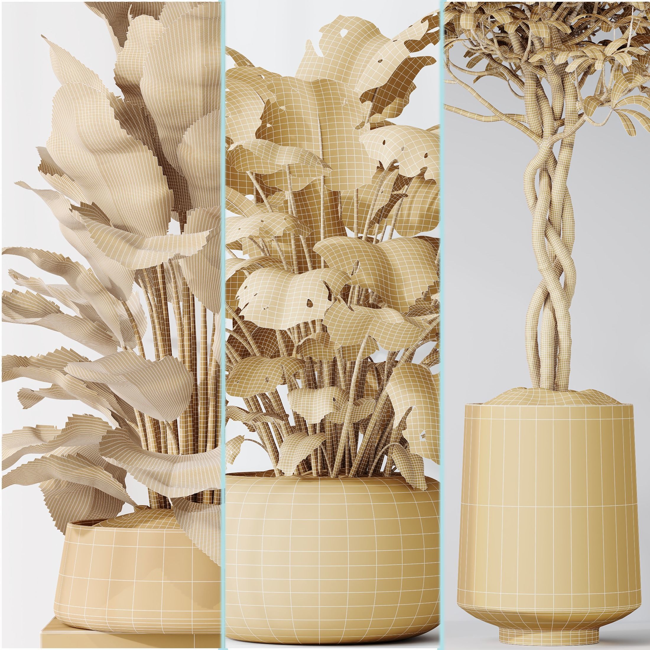 Indoor plant set 04 3D model_4