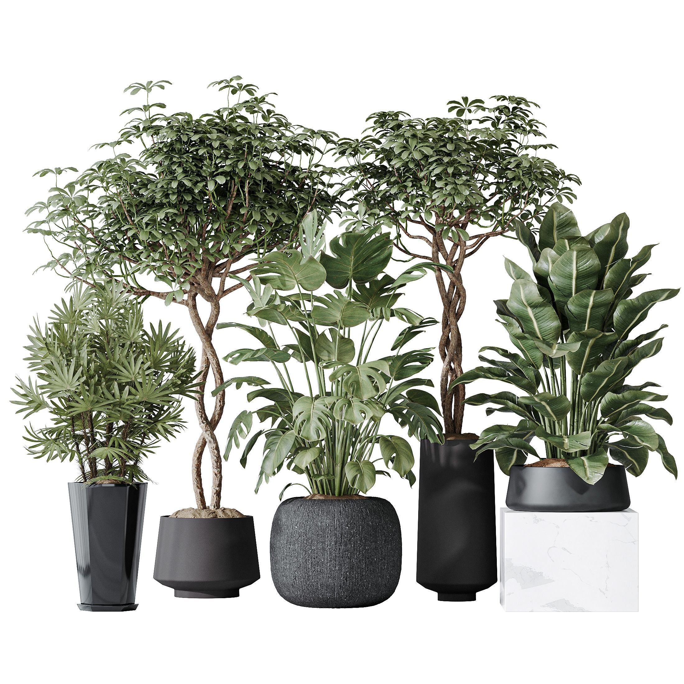 Indoor plant set 04 3D model_1