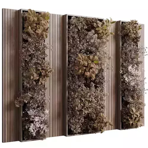 Plants Autumn And Dried Set Partition In Wooden frame