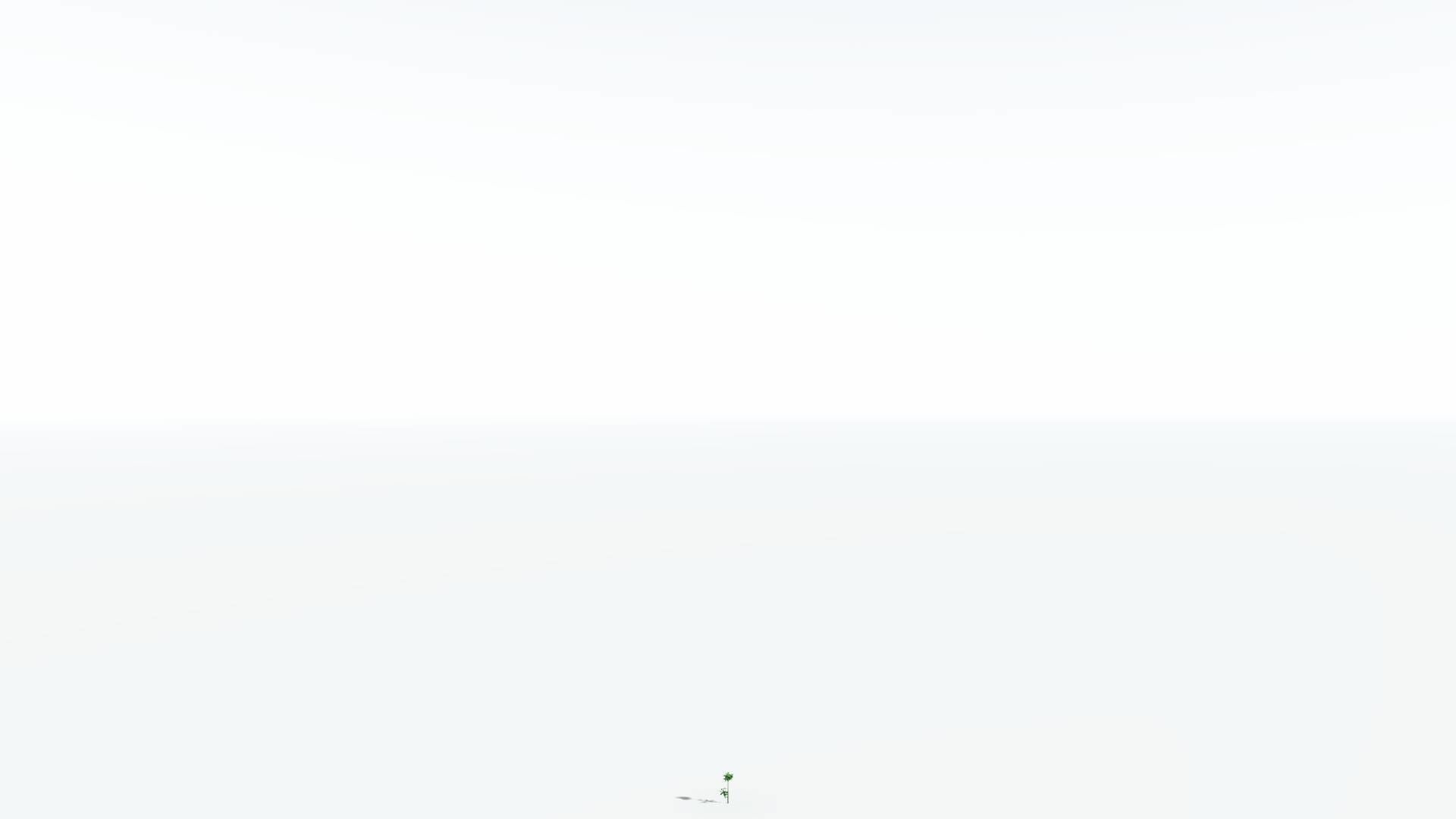 EVERYPlant Glossopteris 3 --20 Models-- 3D model_31