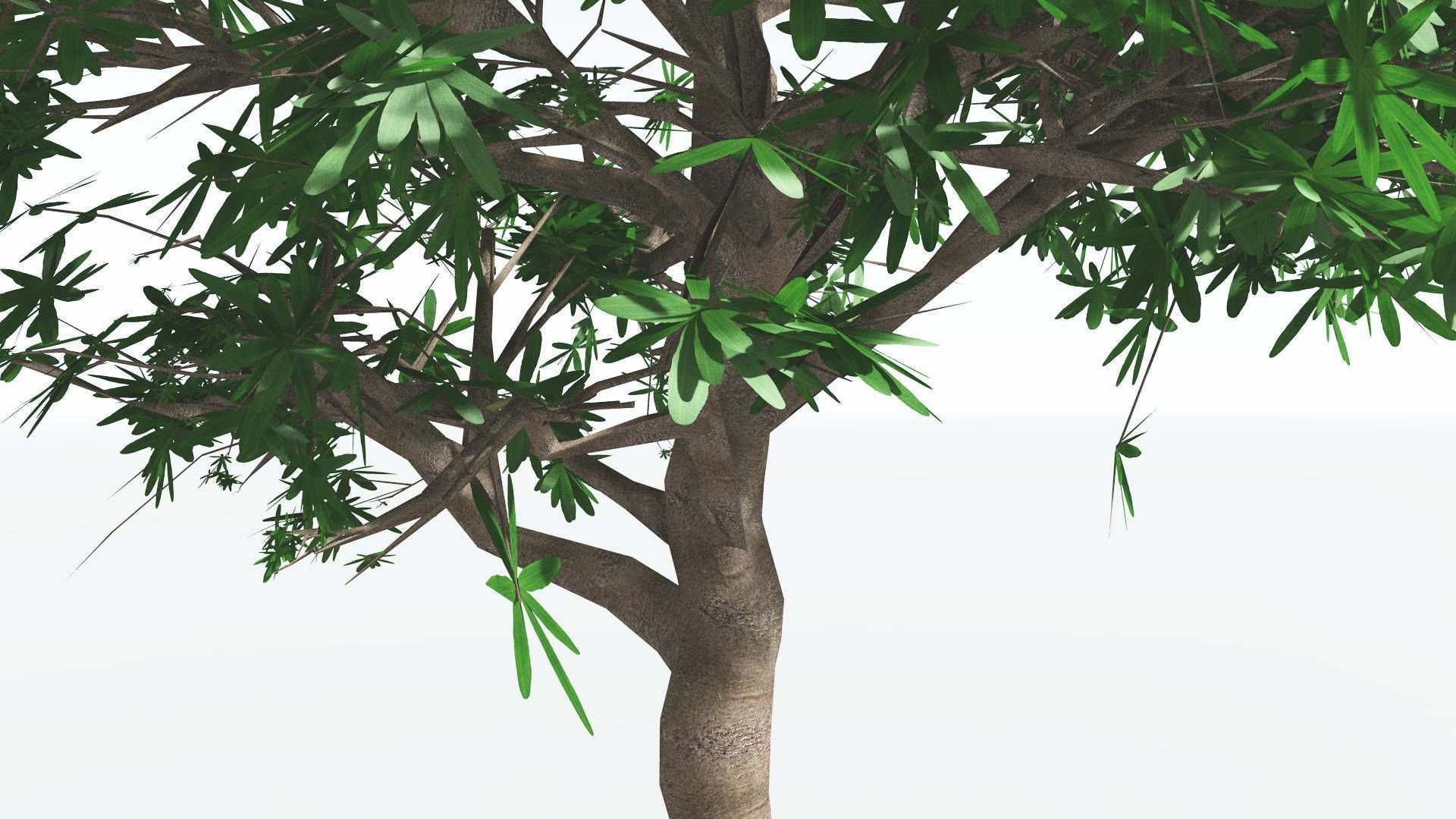 EVERYPlant Glossopteris 3 --20 Models-- 3D model_34