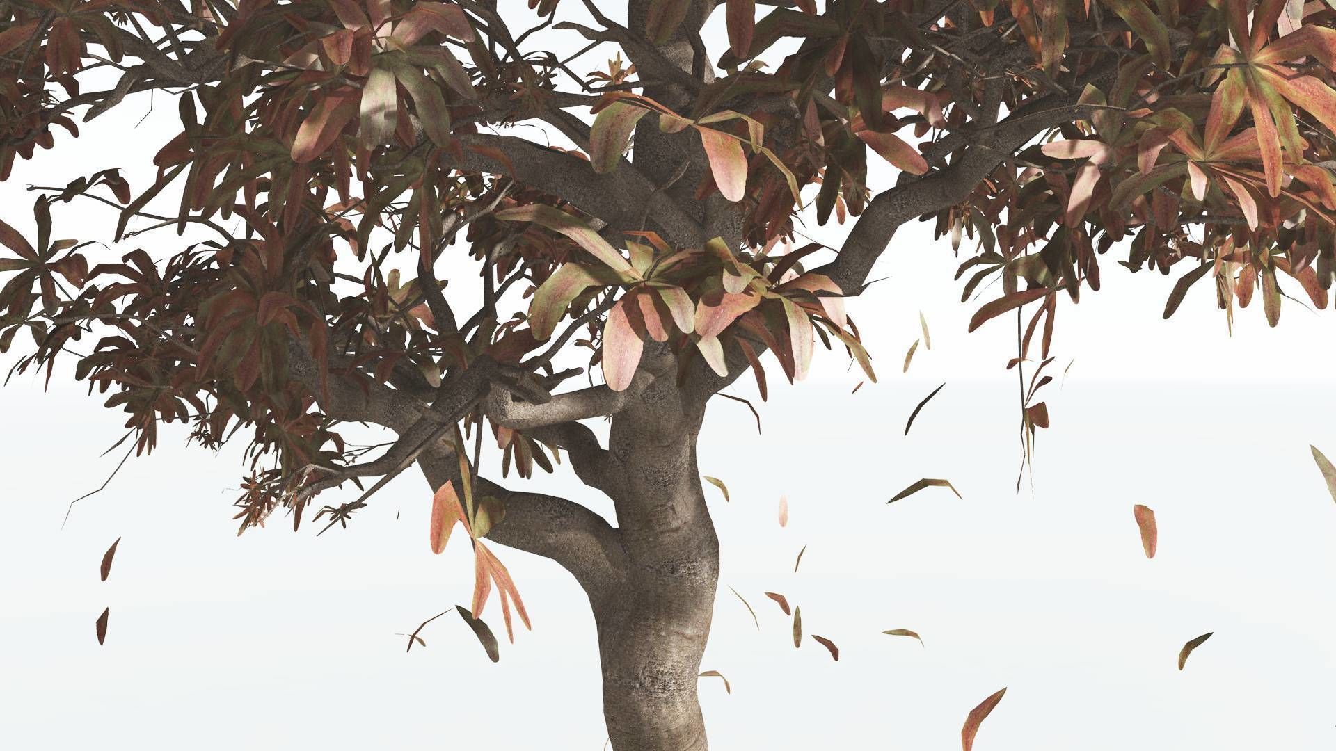 EVERYPlant Glossopteris 3 --20 Models-- 3D model_10