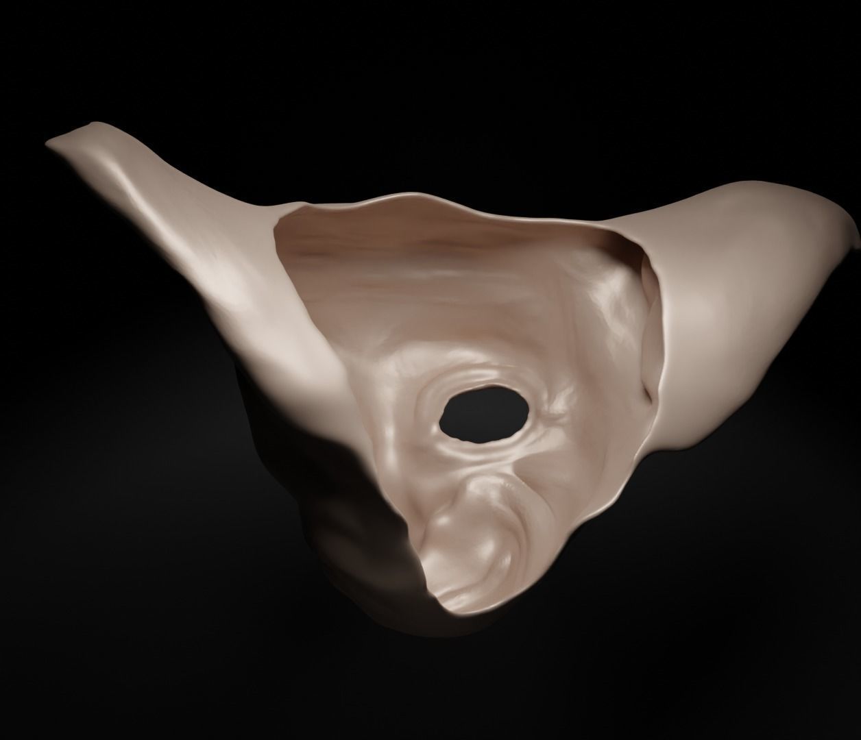 Dobby - Harry Potter Movie Cospay Costume Face Mask 3D print model_11