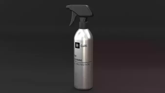 Car cleaning 3D model