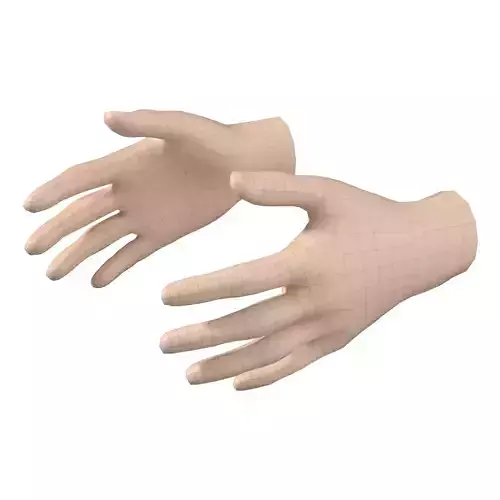 Female Hand Base Mesh 06 3D model