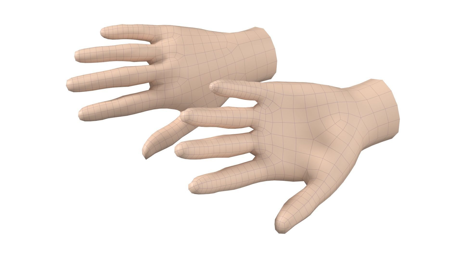 Female Hand Base Mesh 06 3D model_7