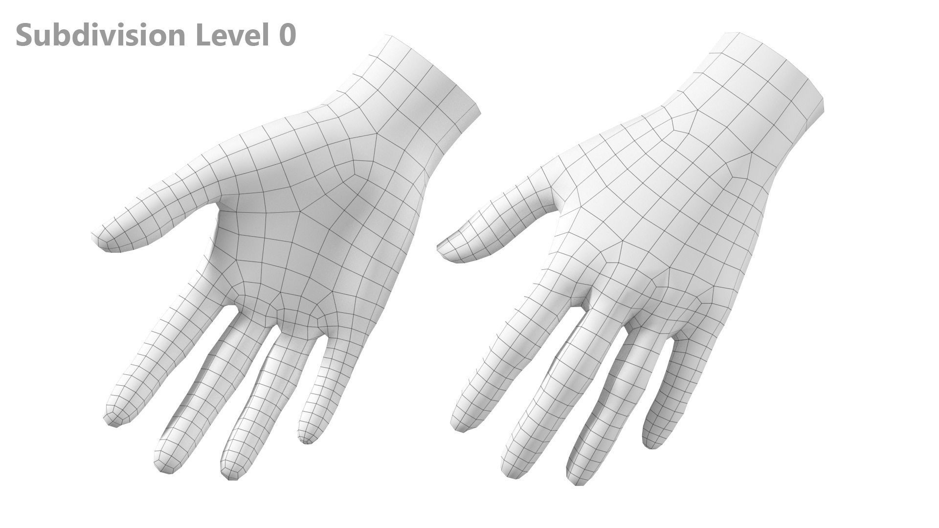 Female Hand Base Mesh 06 3D model_14