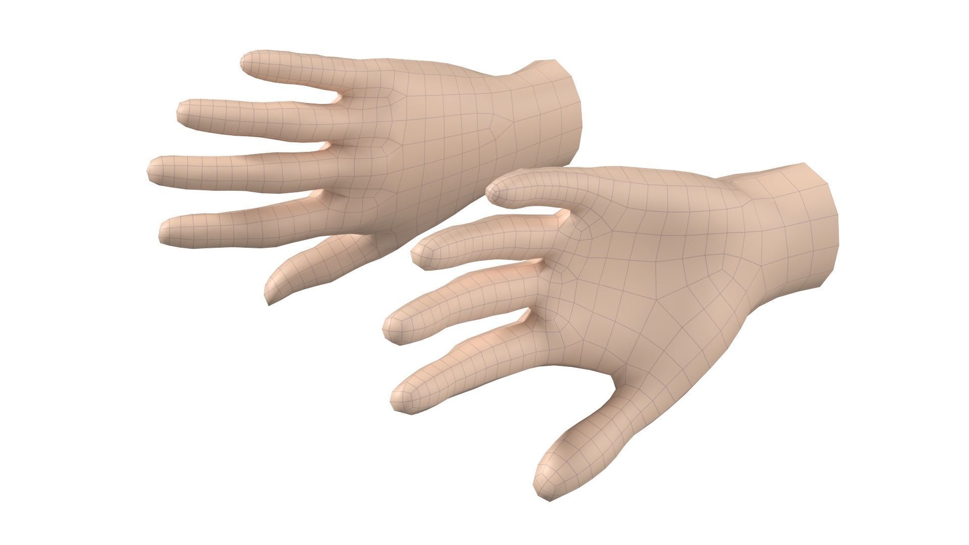 Female Hand Base Mesh 06 3D model_8