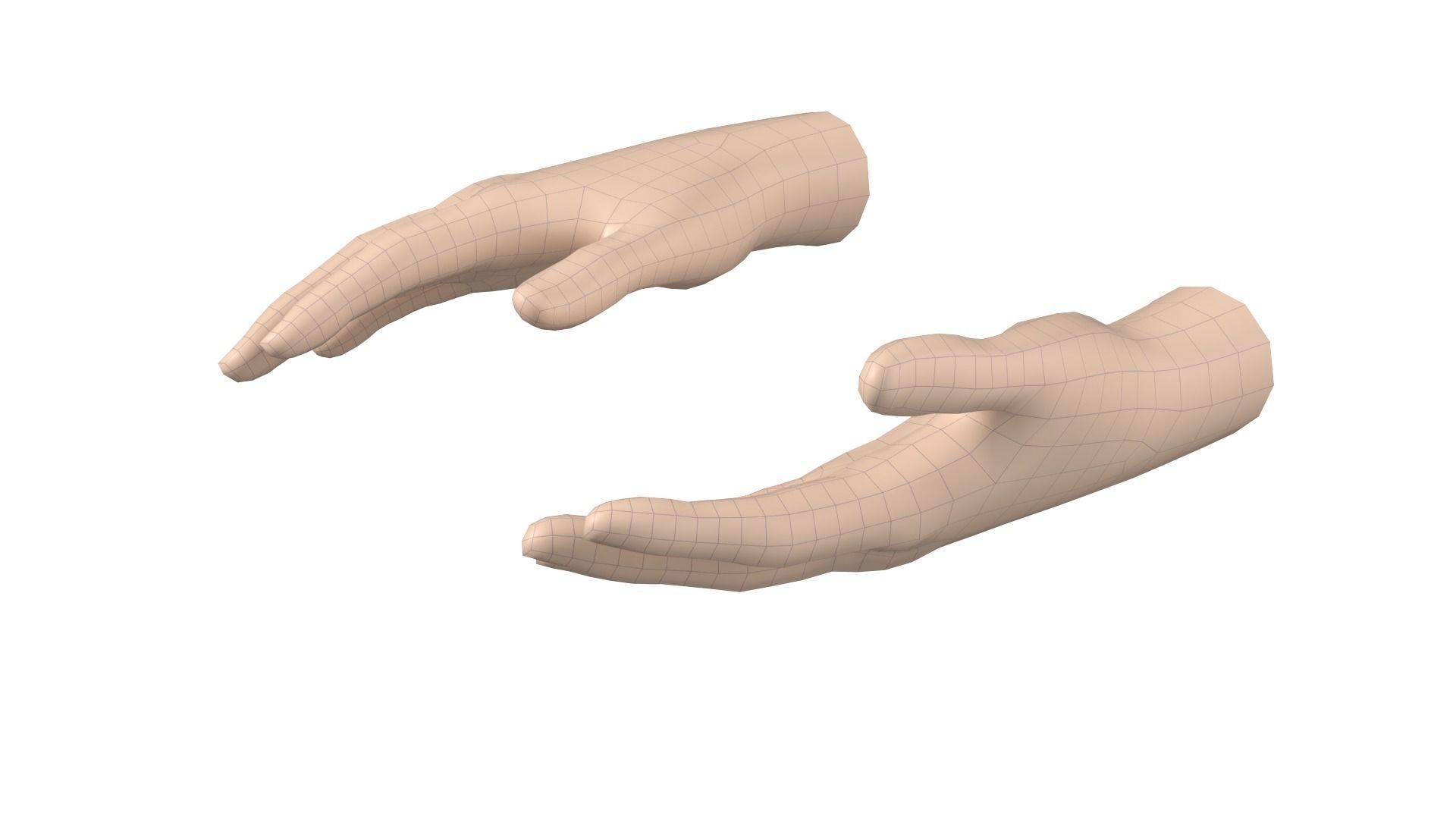 Female Hand Base Mesh 06 3D model_4