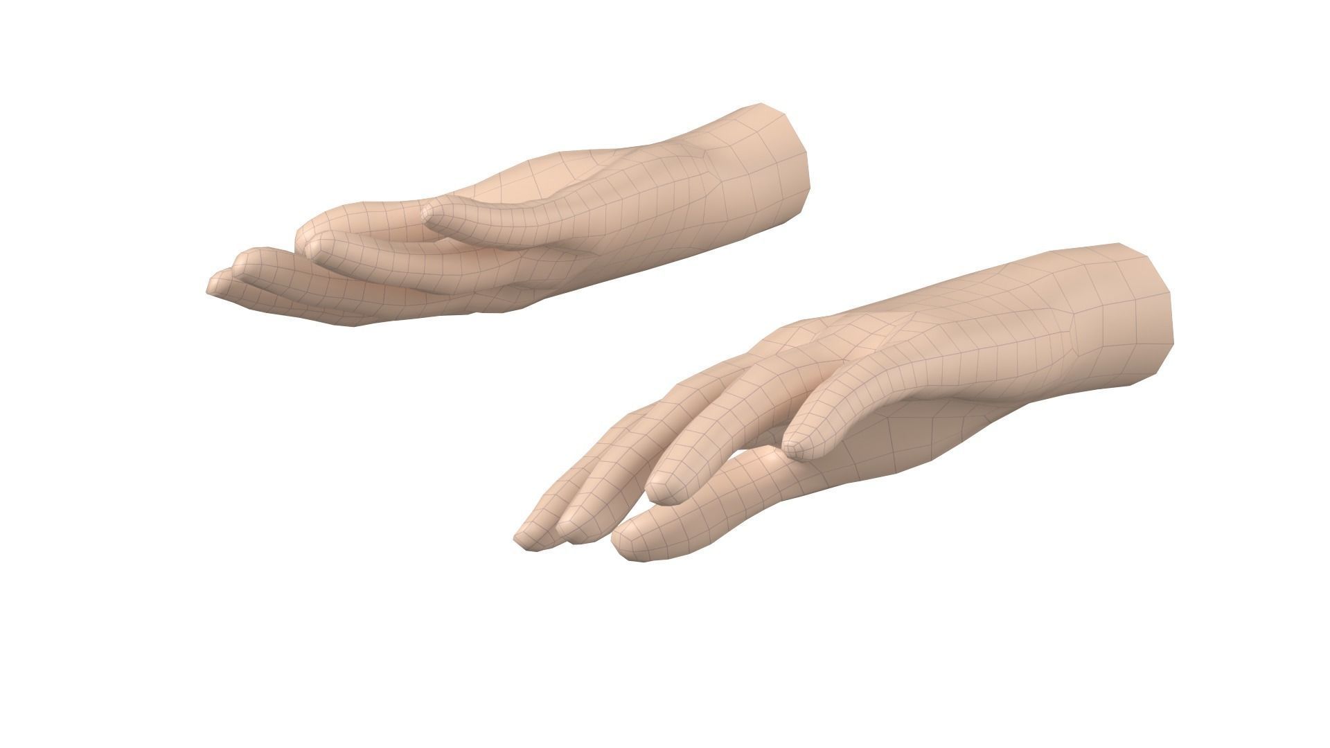 Female Hand Base Mesh 06 3D model_10