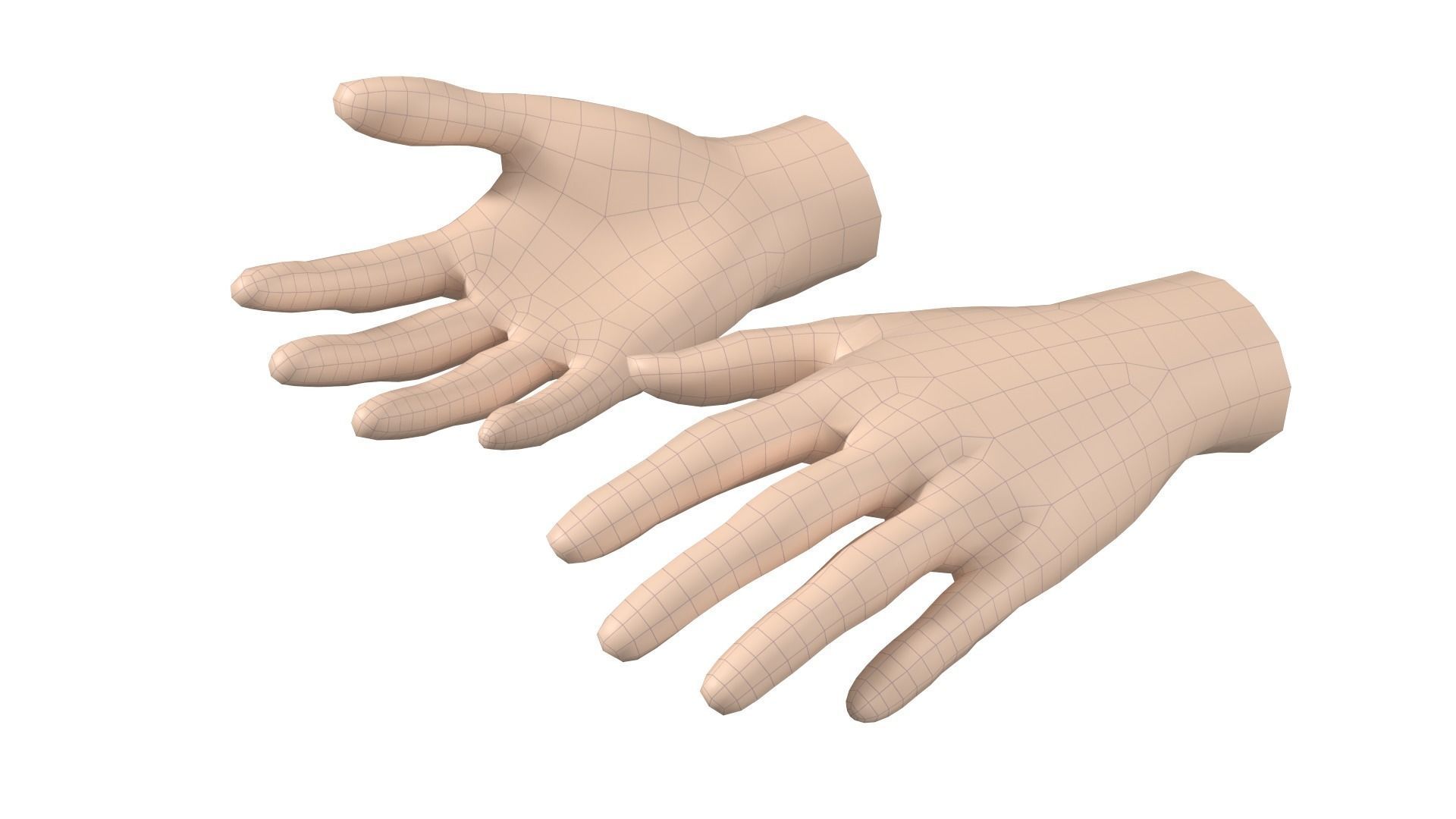 Female Hand Base Mesh 06 3D model_12