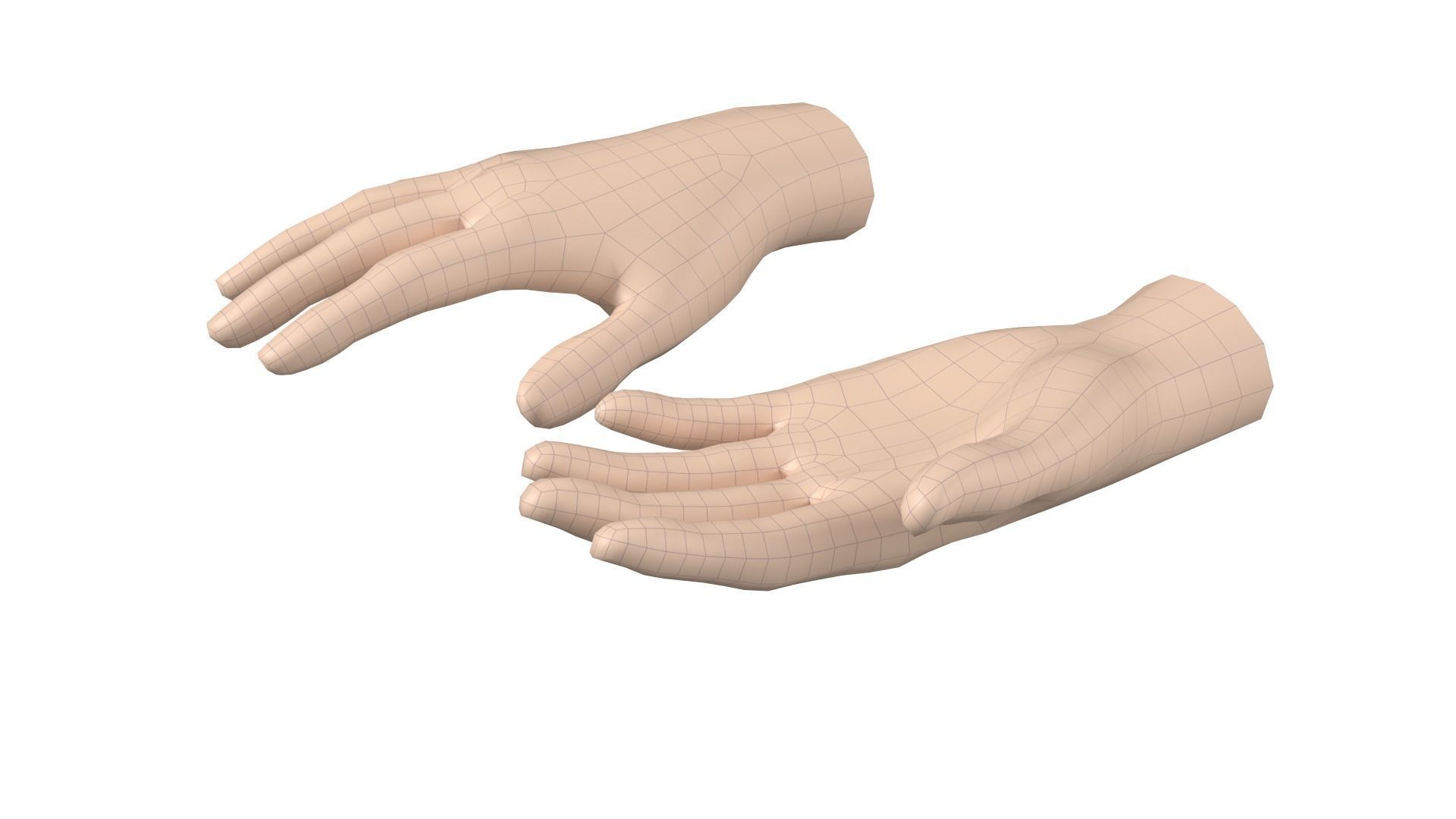 Female Hand Base Mesh 06 3D model_5