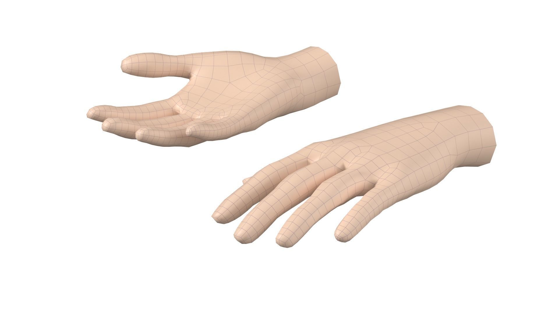Female Hand Base Mesh 06 3D model_11