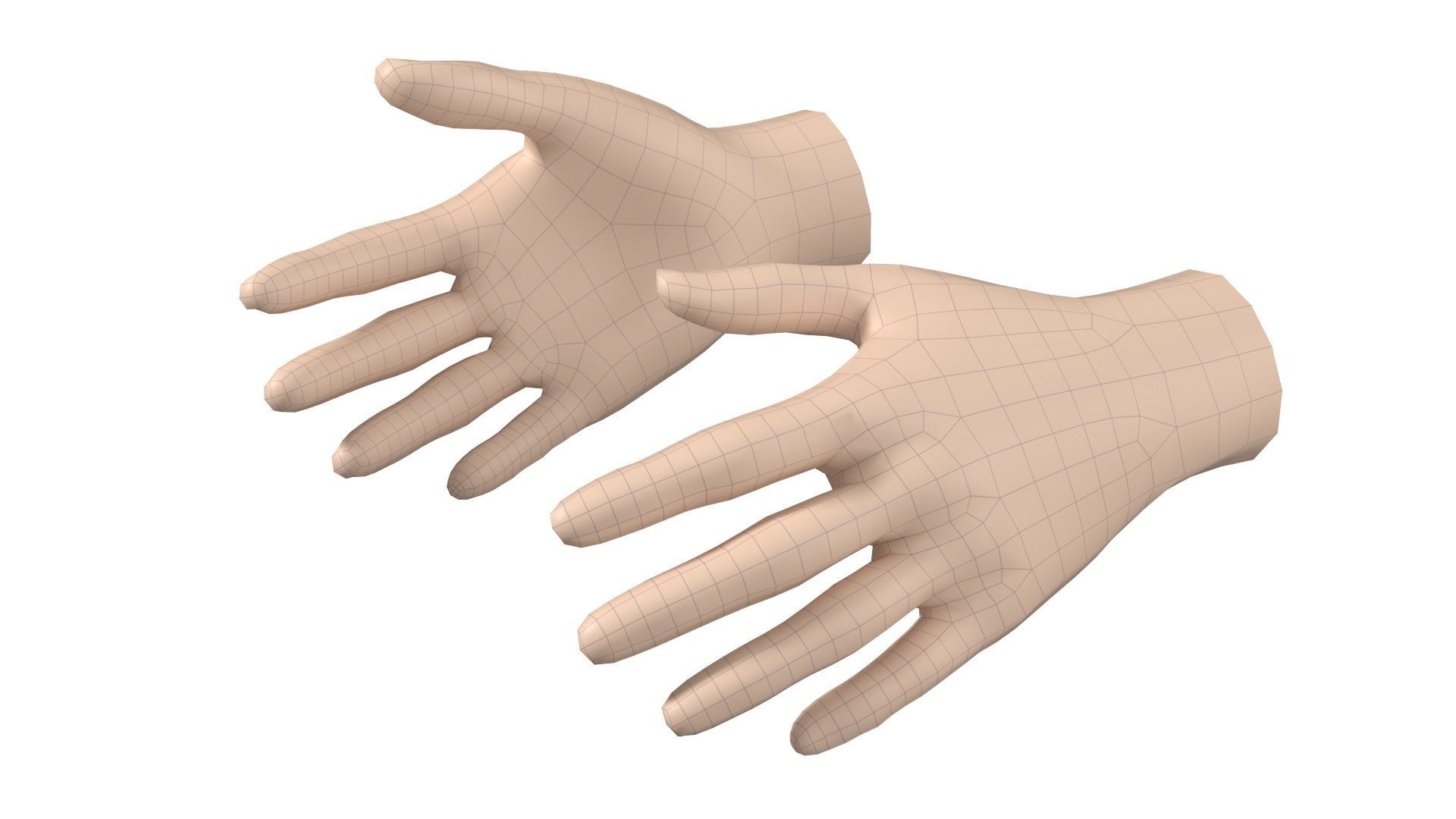 Female Hand Base Mesh 06 3D model_13