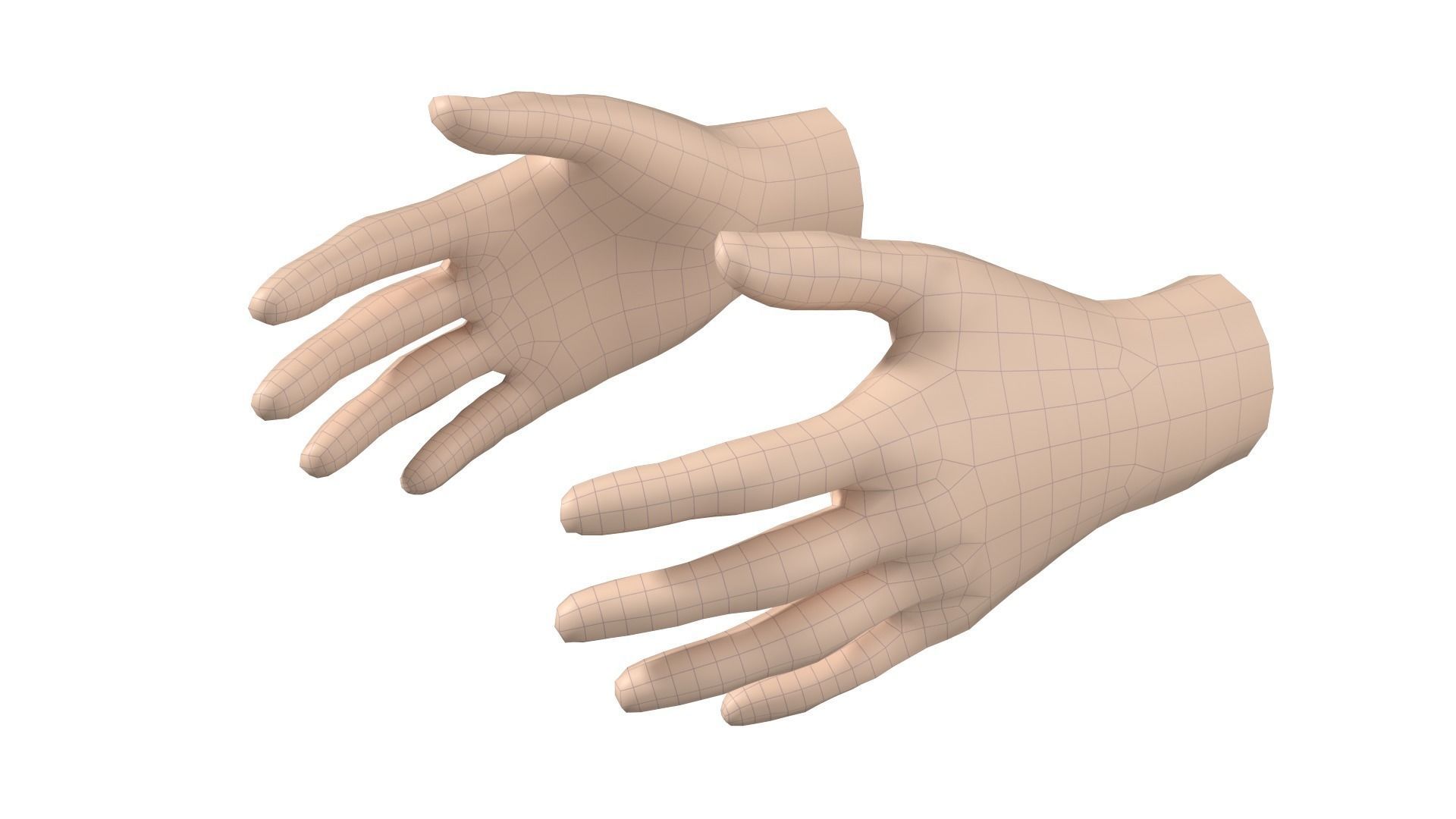 Female Hand Base Mesh 06 3D model_2