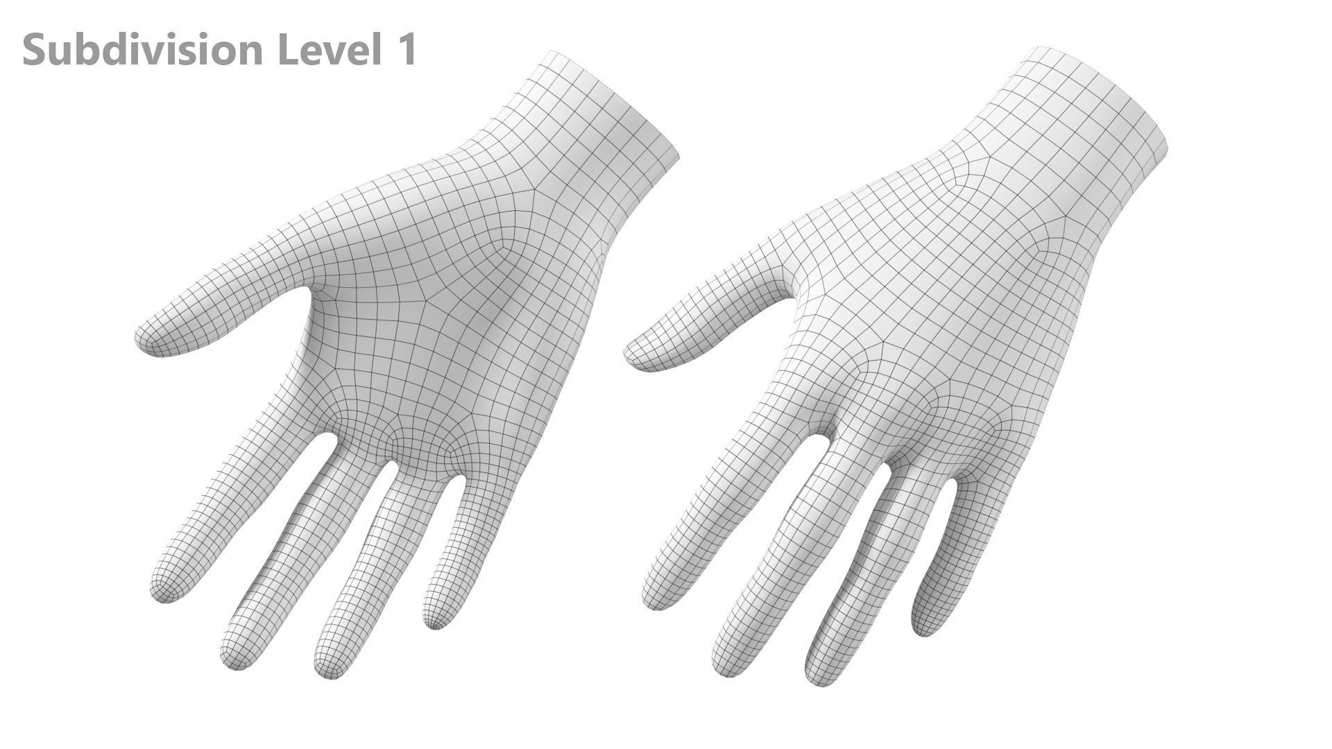 Female Hand Base Mesh 06 3D model_15