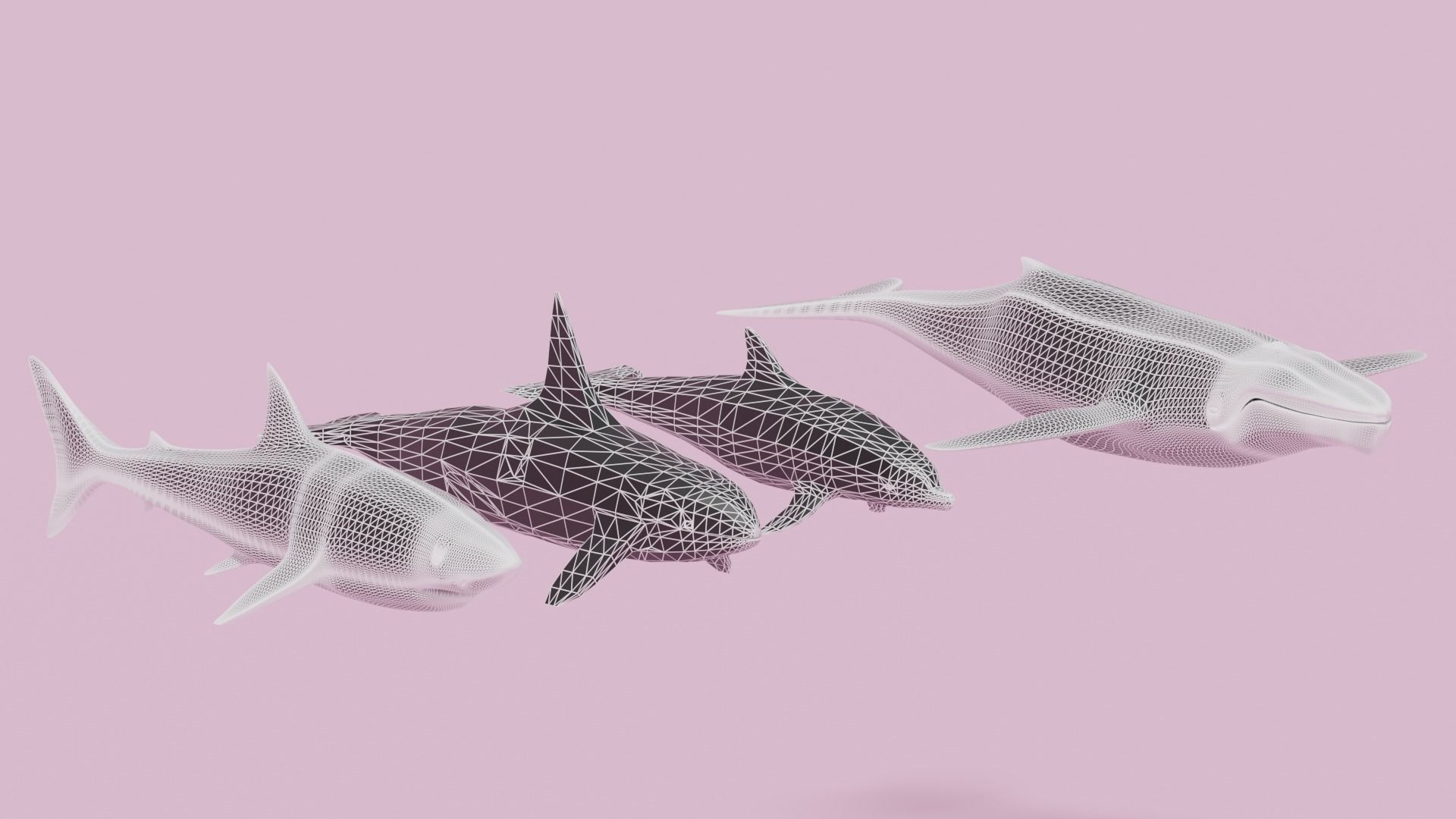 Cartoon Sea Animals Pack Low-poly 3D model_13