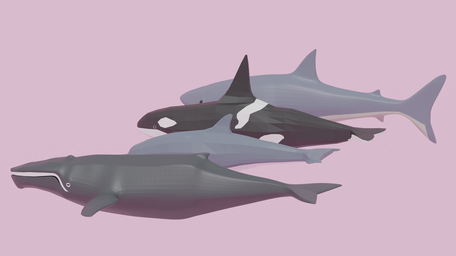 Cartoon Sea Animals Pack Low-poly 3D model_3