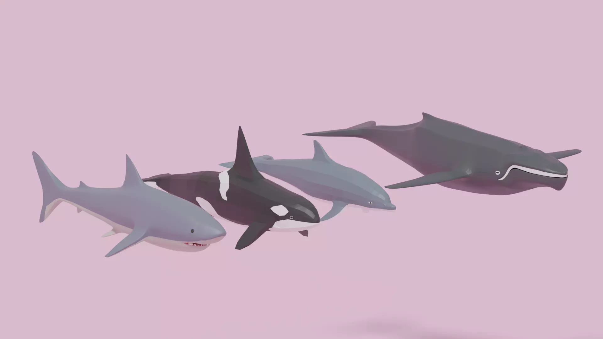 Cartoon Sea Animals Pack Low-poly 3D model_0