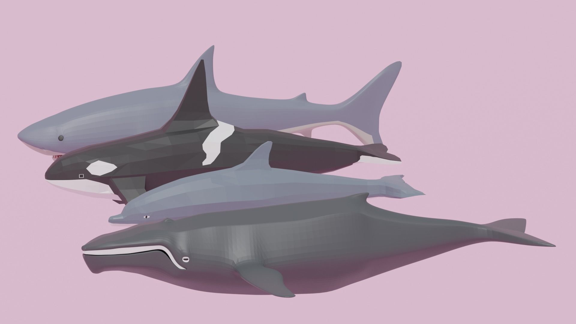 Cartoon Sea Animals Pack Low-poly 3D model_2