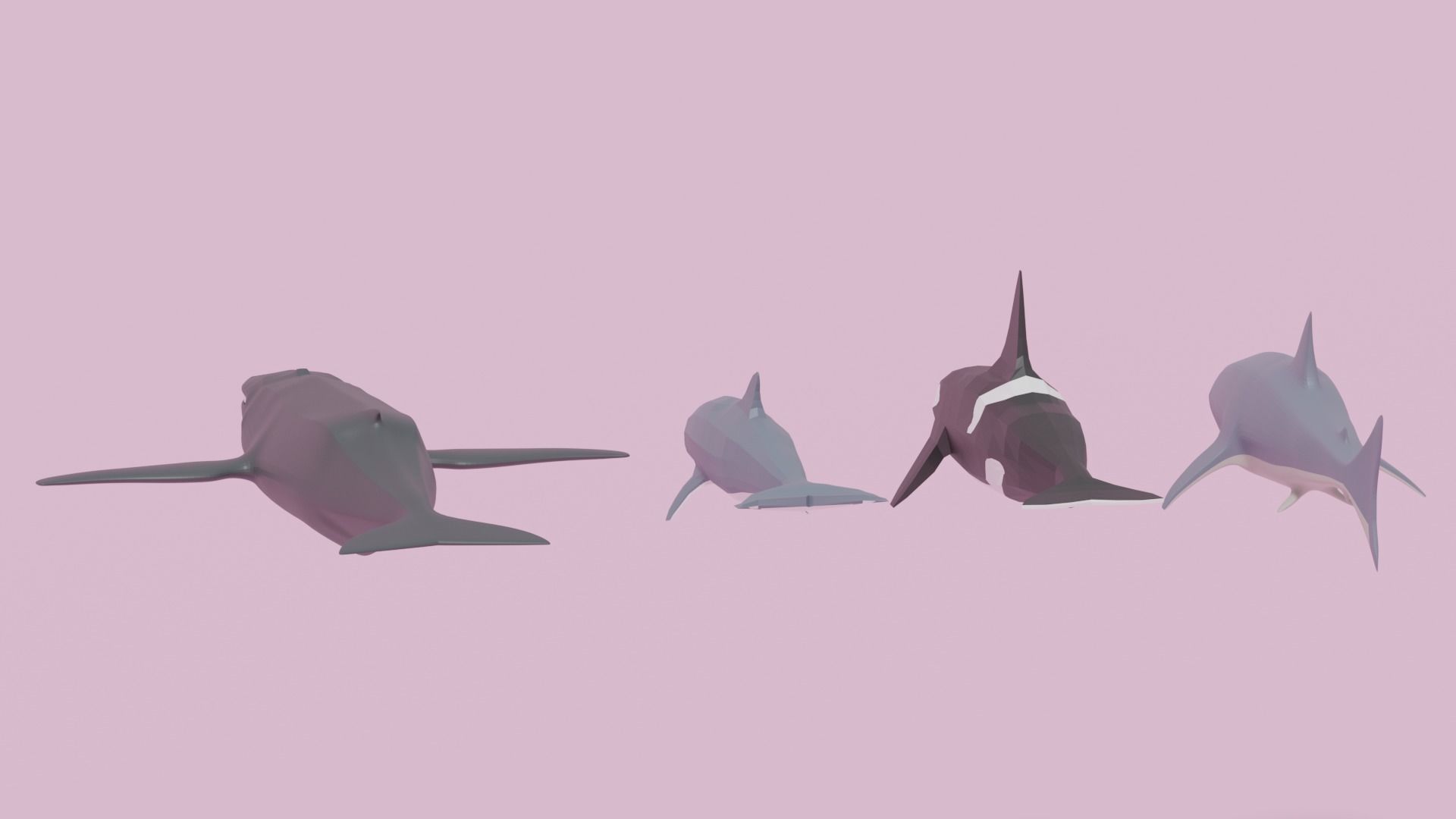 Cartoon Sea Animals Pack Low-poly 3D model_7