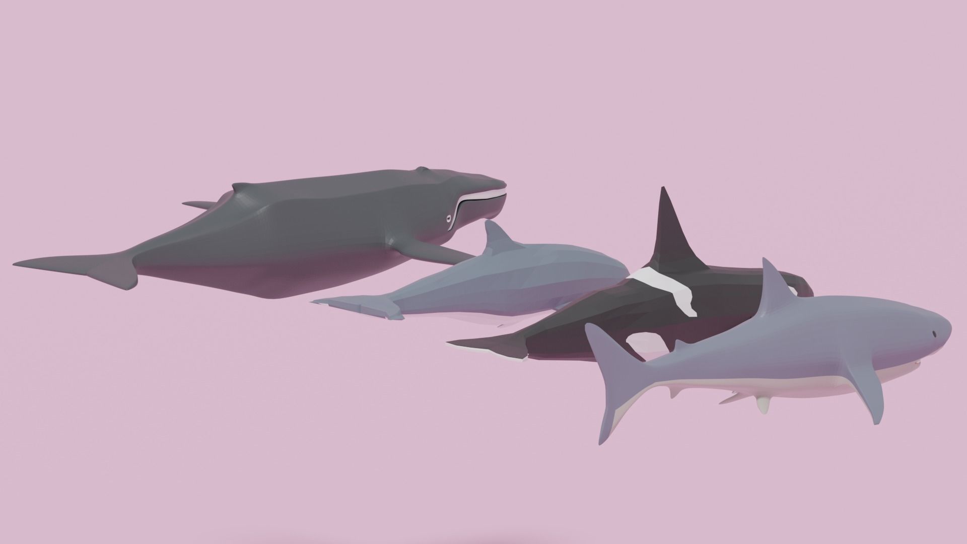 Cartoon Sea Animals Pack Low-poly 3D model_9