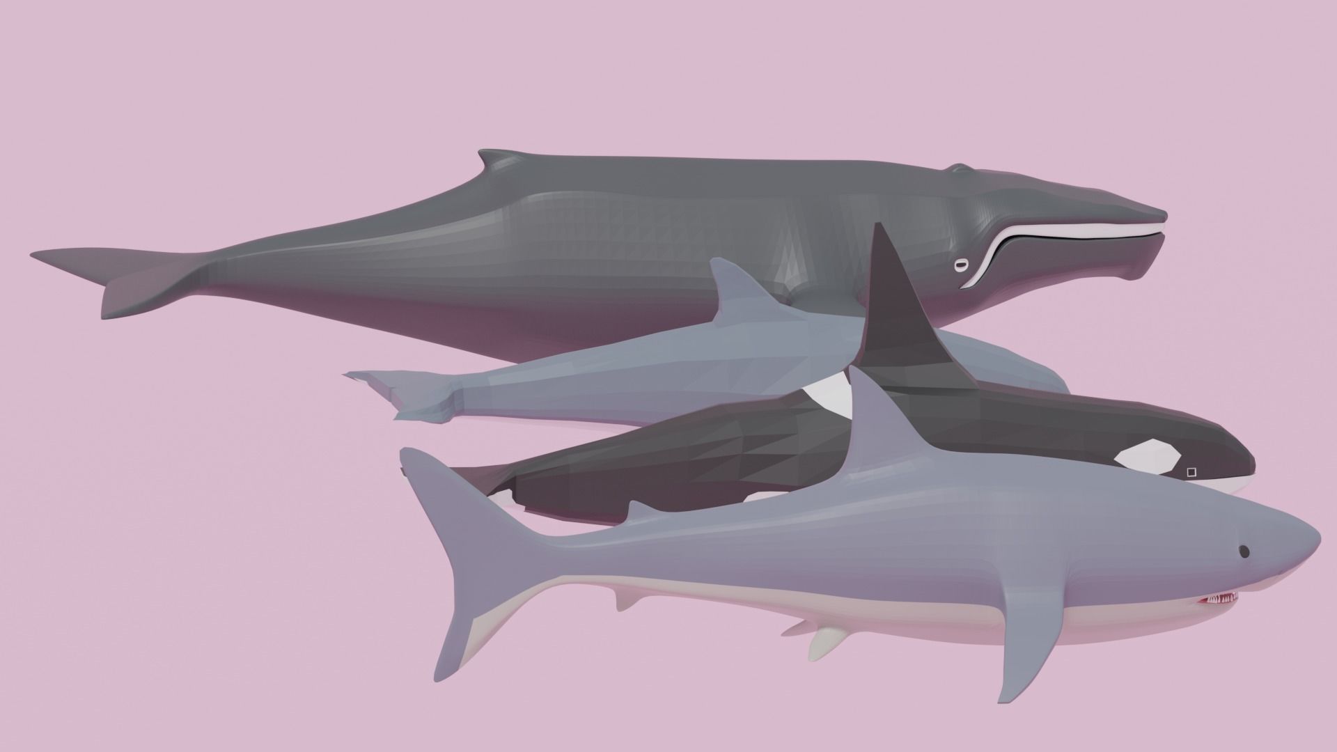 Cartoon Sea Animals Pack Low-poly 3D model_10