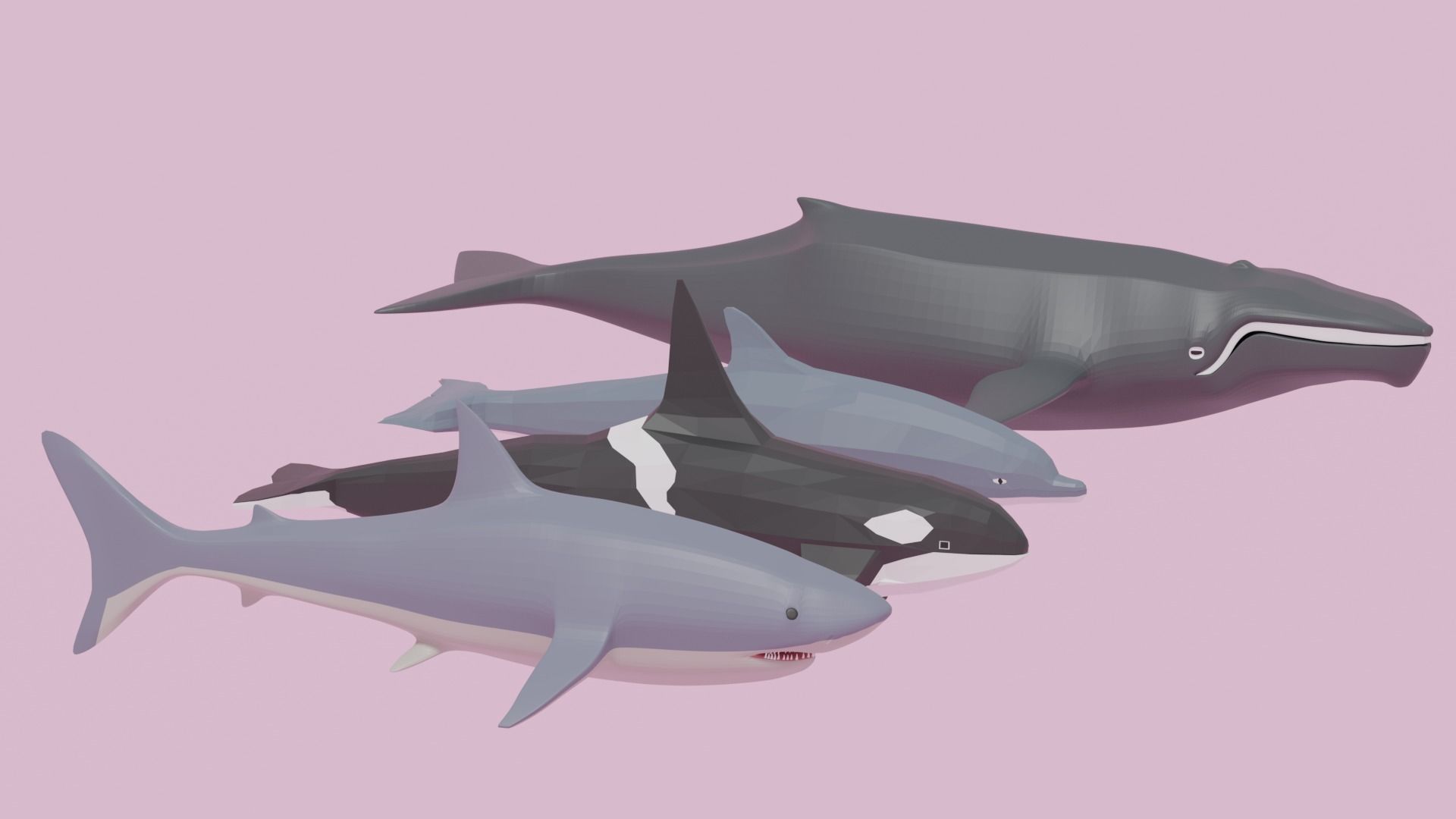 Cartoon Sea Animals Pack Low-poly 3D model_11