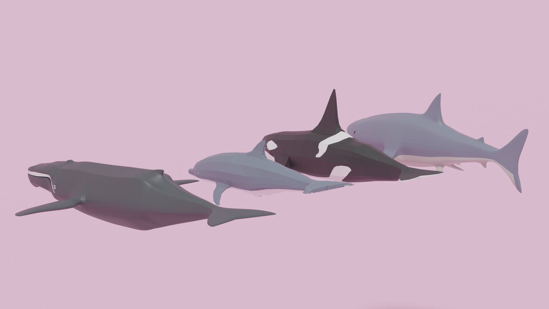 Cartoon Sea Animals Pack Low-poly 3D model_6