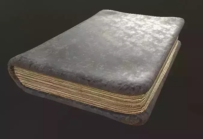 The Old Book