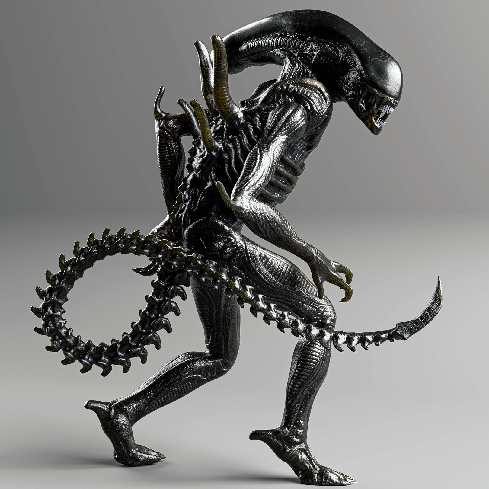 XenoMorph alien Creature -Non animated 3D model_1