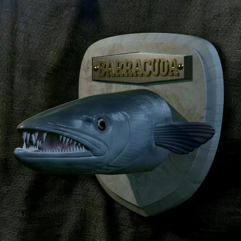 FISH HEAD GREAT BARRACUDA TROPHY STATUE DETAILED TEXTURE FOR 3D  3D print model_0