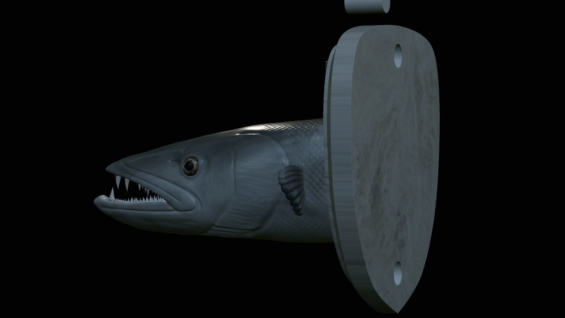 FISH HEAD GREAT BARRACUDA TROPHY STATUE DETAILED TEXTURE FOR 3D  3D print model_8