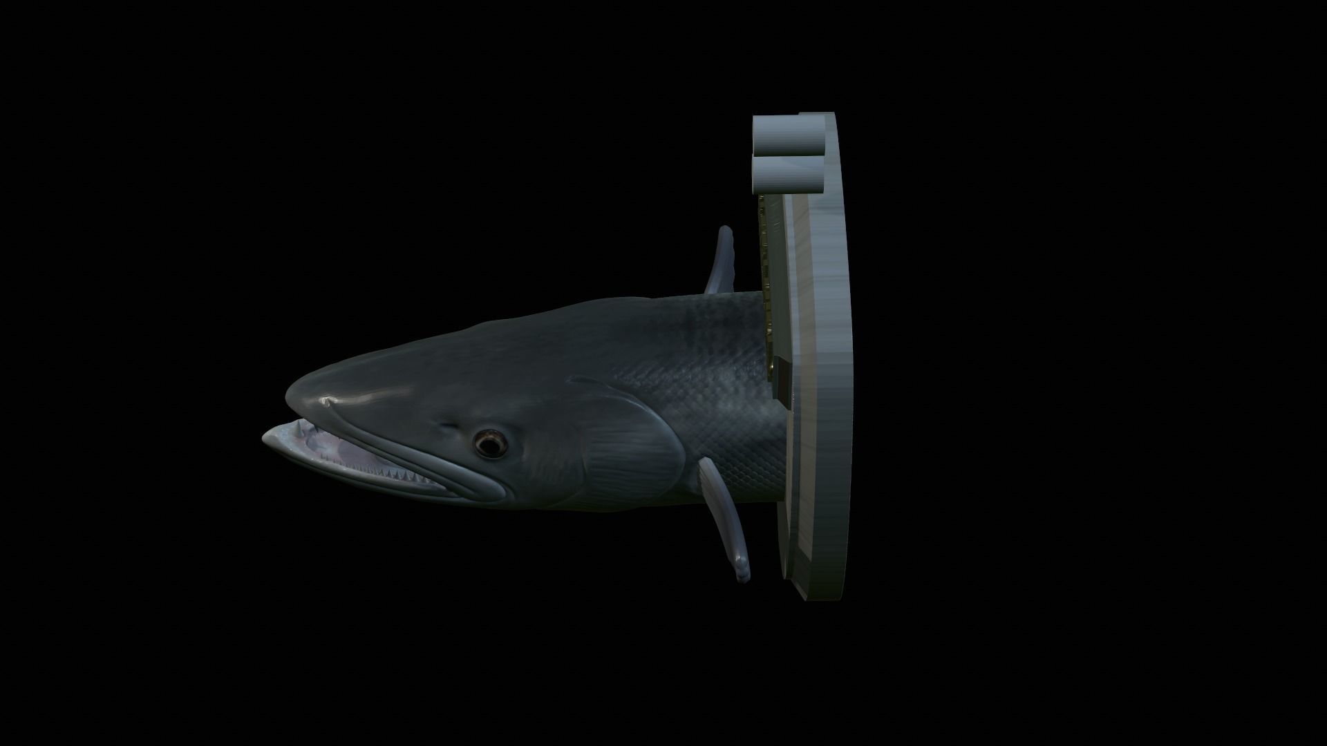 FISH HEAD GREAT BARRACUDA TROPHY STATUE DETAILED TEXTURE FOR 3D  3D print model_7