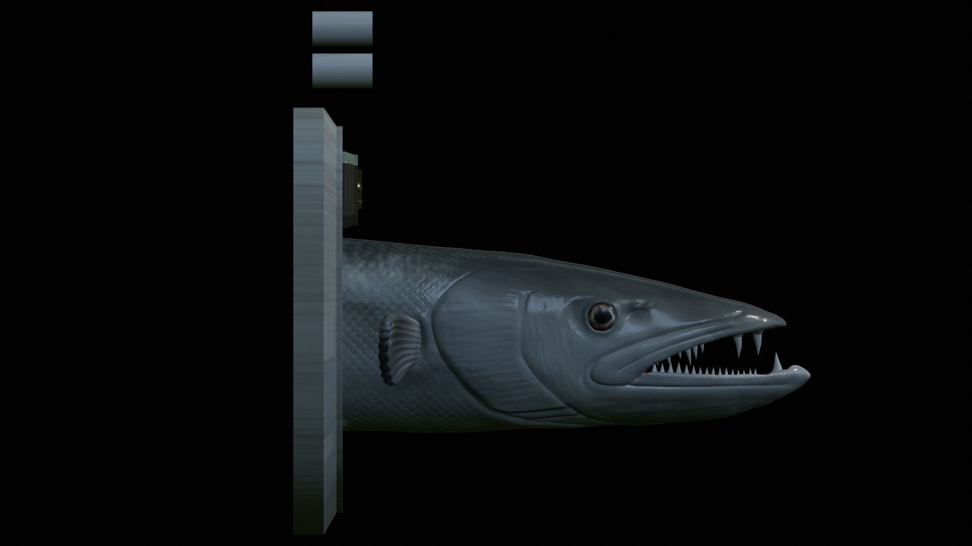 FISH HEAD GREAT BARRACUDA TROPHY STATUE DETAILED TEXTURE FOR 3D  3D print model_19