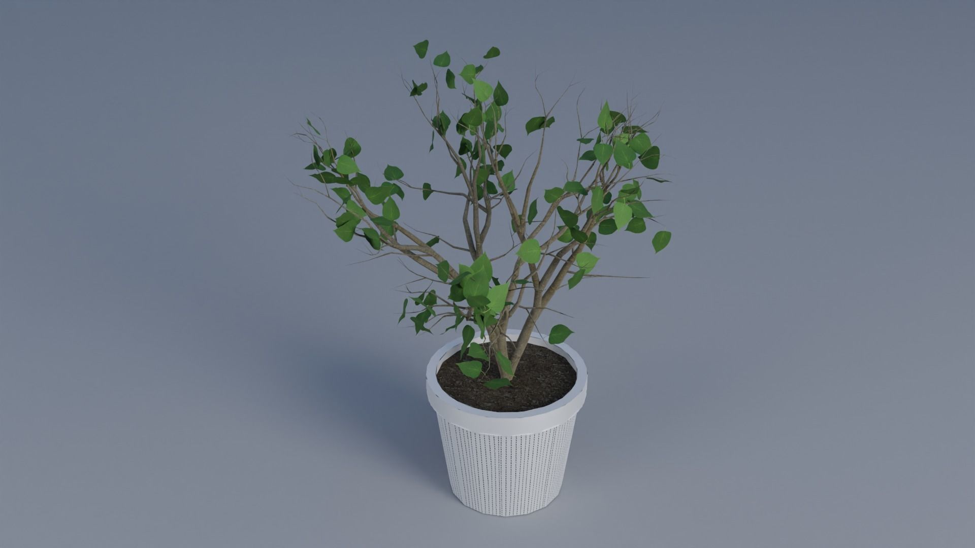 interior plant Low-poly 3D model_1