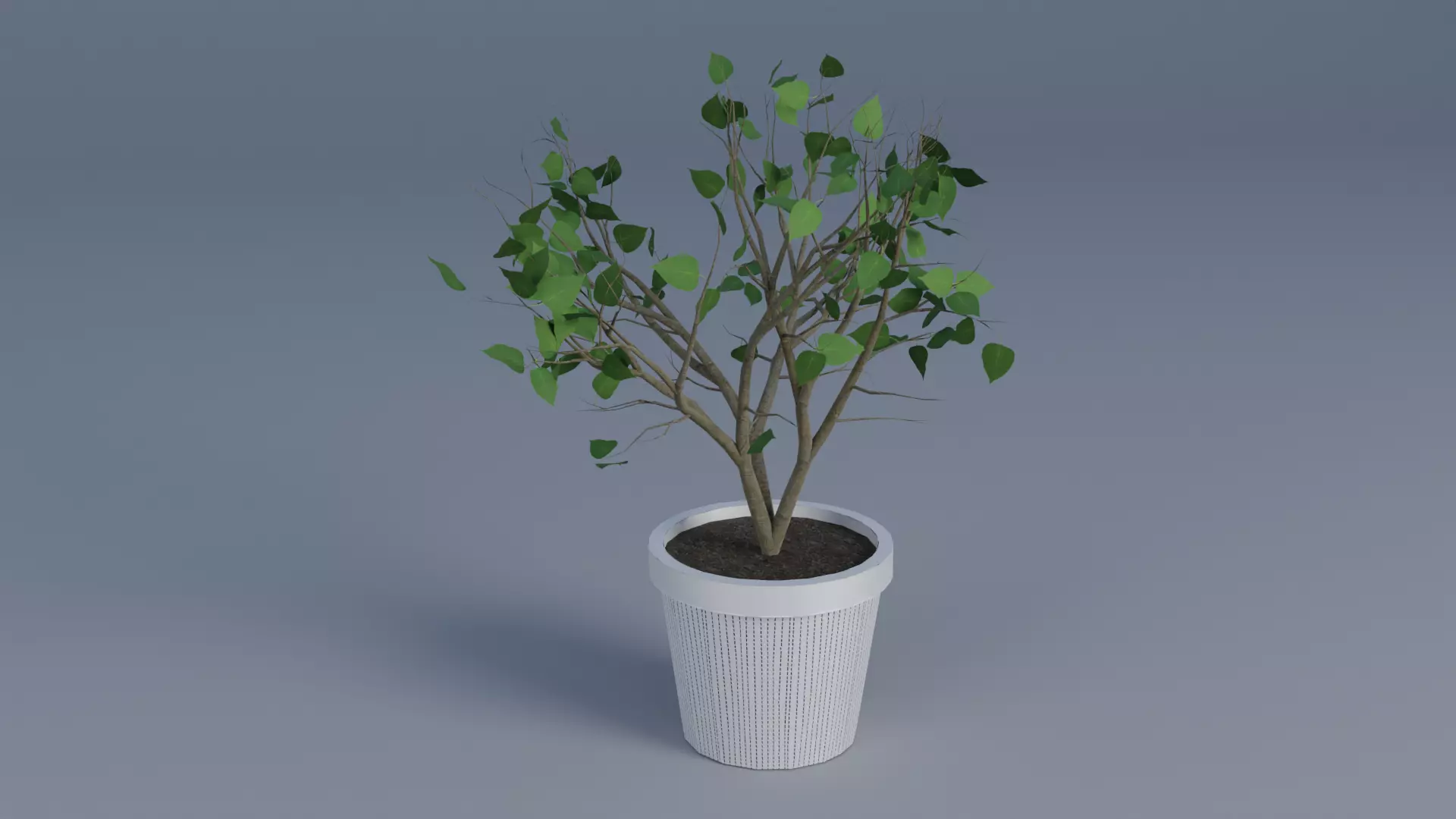 interior plant Low-poly 3D model_0
