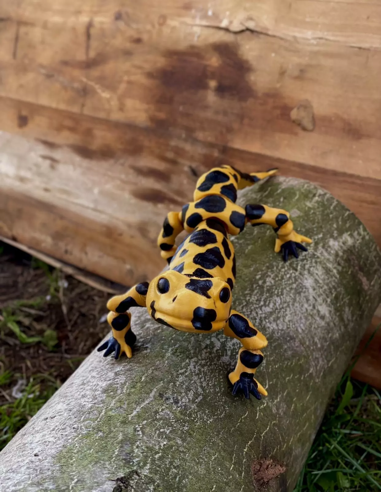 Movable figure of the salmander toy print in place body Free 3D print model