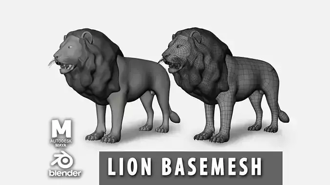 Lion basemesh Low-poly 3D model