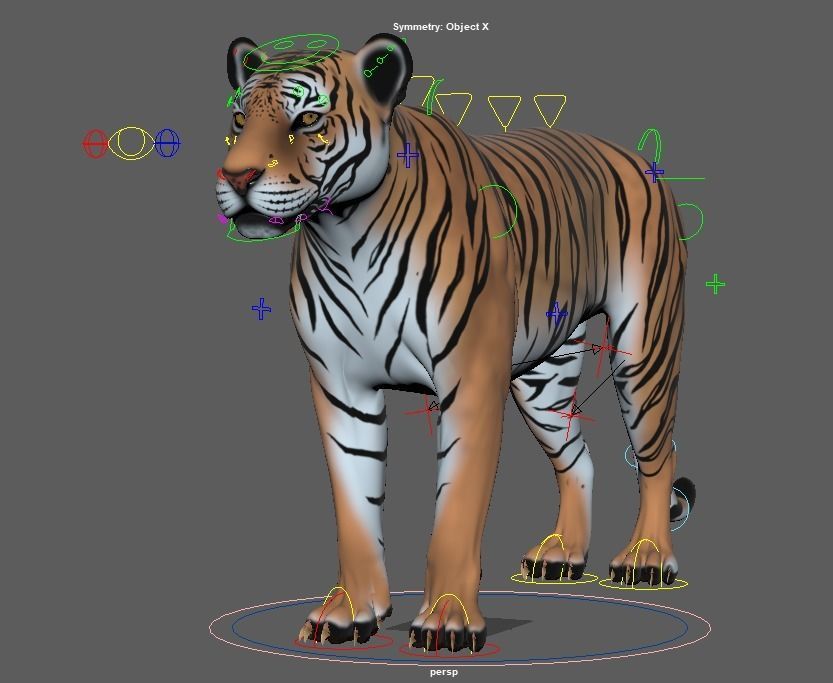 Bengal Tiger Rig Maya Low-poly 3D model_4