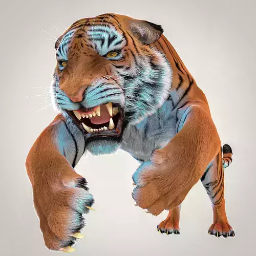 Bengal Tiger Rig Maya